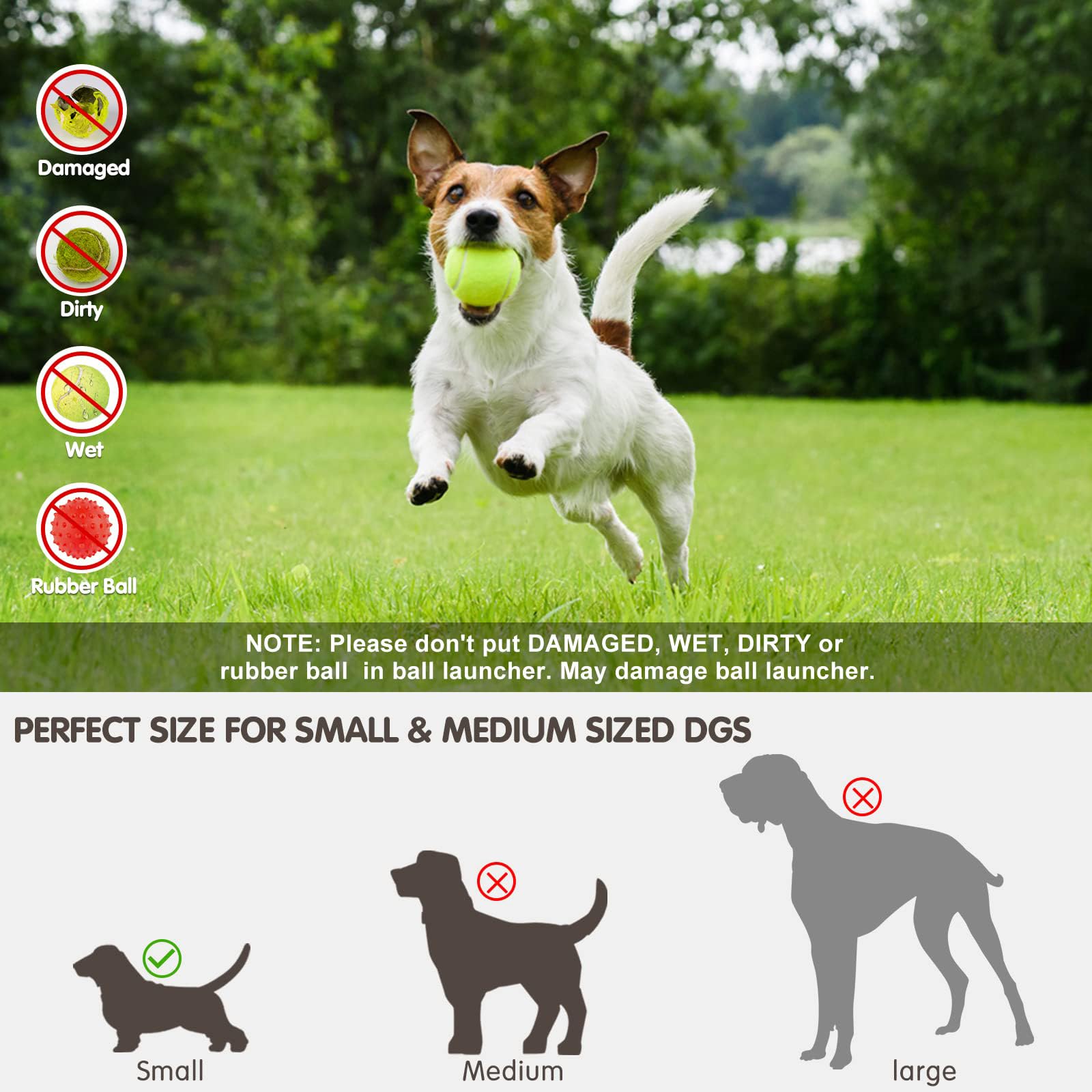 Ball Launcher Dog Interactive  - đánh giá và giá Catapult Launcher Toy